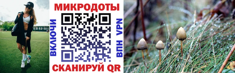 Купить где  Алексеевка  Псилоцибиновые грибы мухоморы 